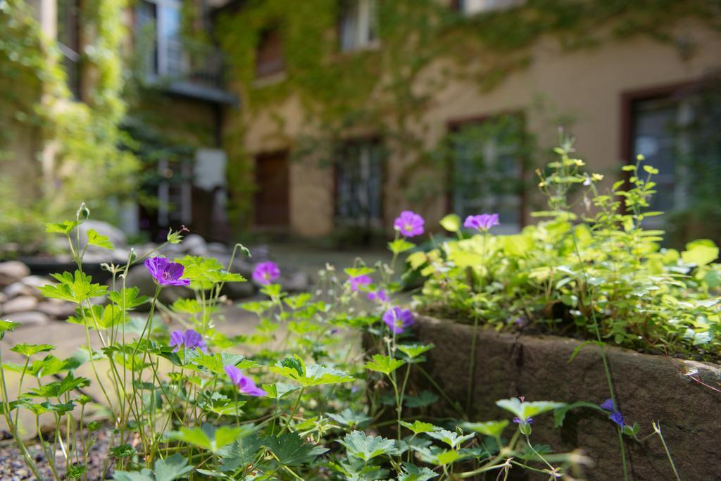 Zum Roten Baeren Freiburg im Breisgau Exterior photo